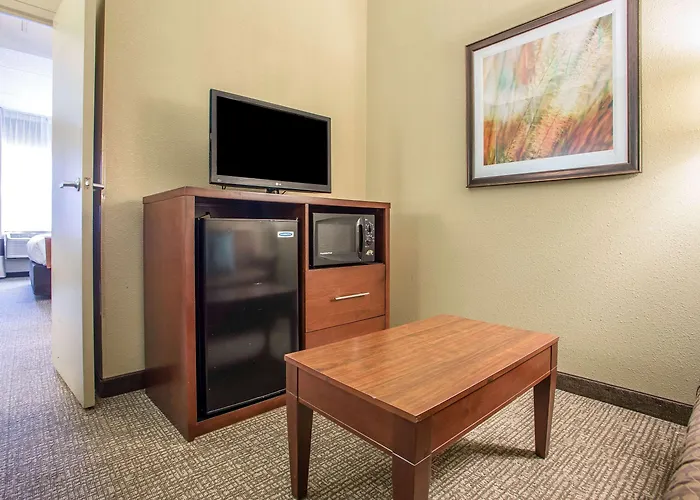 Hotel Comfort Chicago O'hare Airport 3*