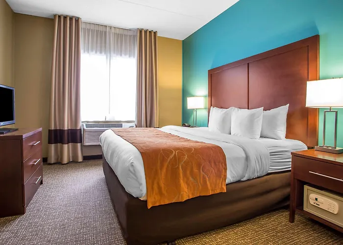 Comfort Chicago O'hare Airport Hotel Schiller Park