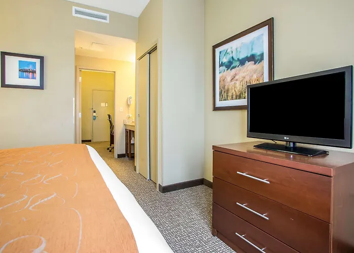 Comfort Chicago O'hare Airport 3*