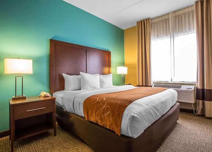 Hotel Comfort Chicago O'hare Airport Schiller Park