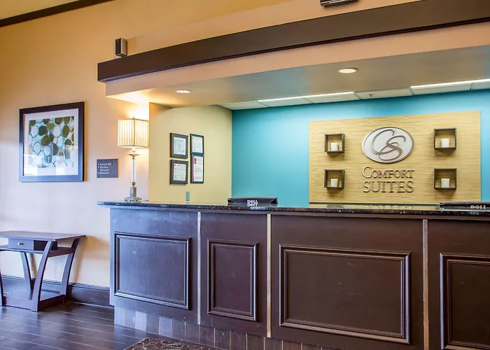 Comfort Chicago O'hare Airport Hotel Schiller Park