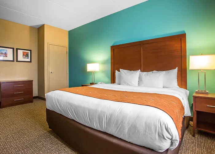 Comfort Chicago O'hare Airport Hotel Schiller Park