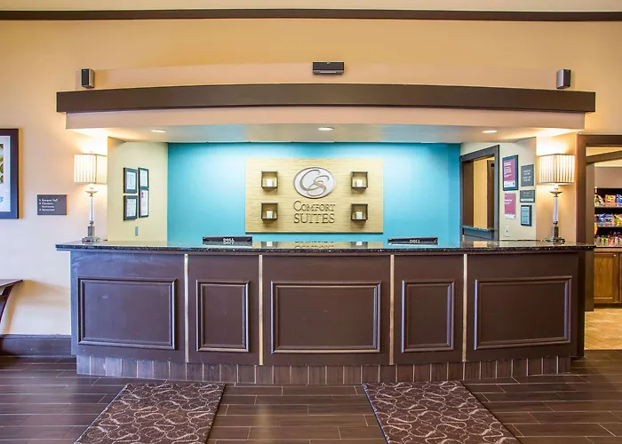 Comfort Chicago O'hare Airport Hotel Schiller Park