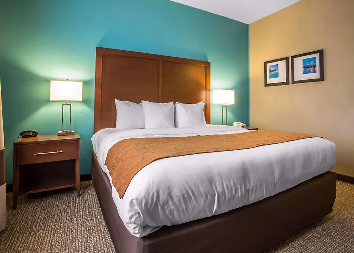 Comfort Chicago O'hare Airport 3* Schiller Park