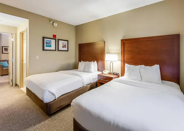 Comfort Chicago O'hare Airport Hotel 3*