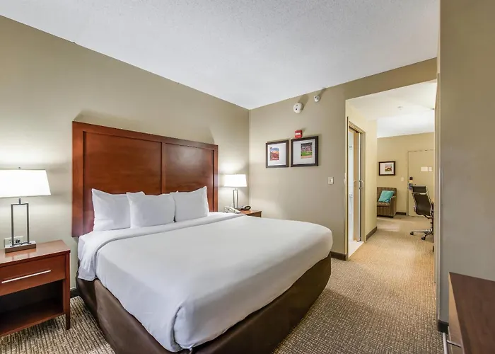 Hotel Comfort Chicago O'hare Airport Schiller Park
