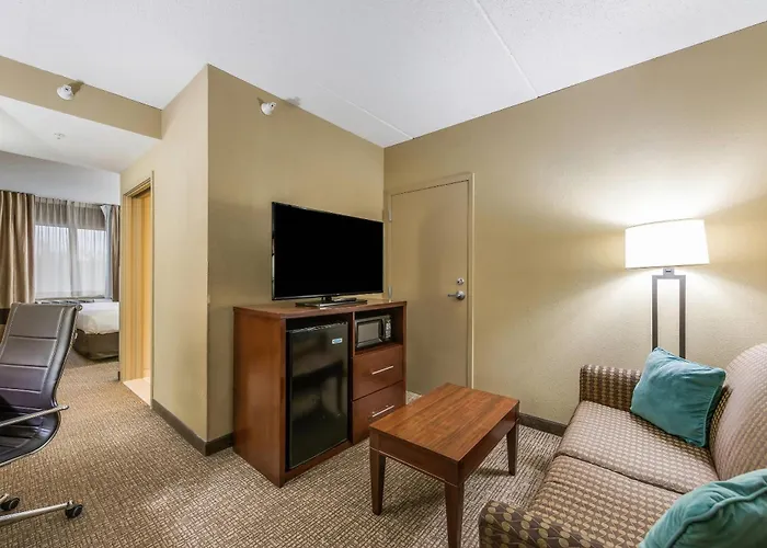 Hotel Comfort Chicago O'hare Airport 3*