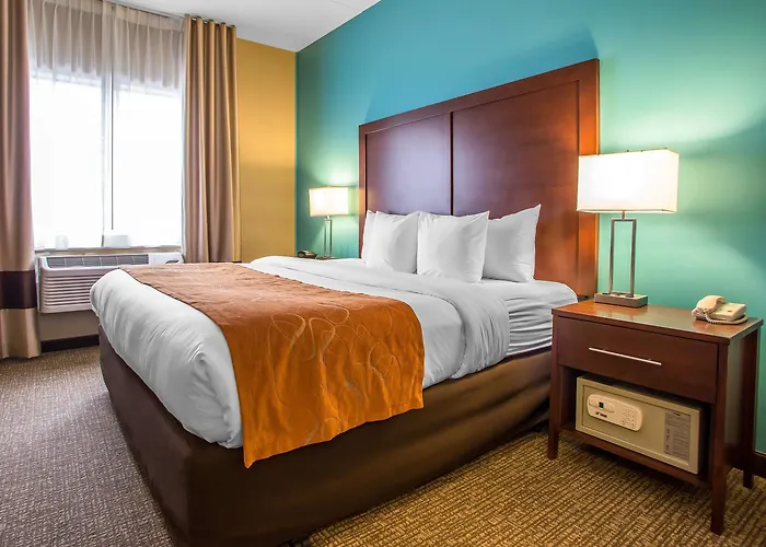 Comfort Chicago O'hare Airport Hotel