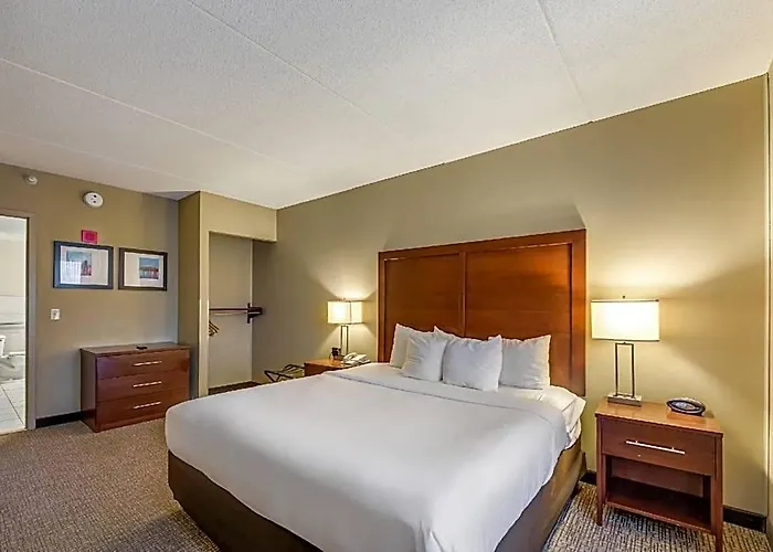 Comfort Chicago O'hare Airport 3*