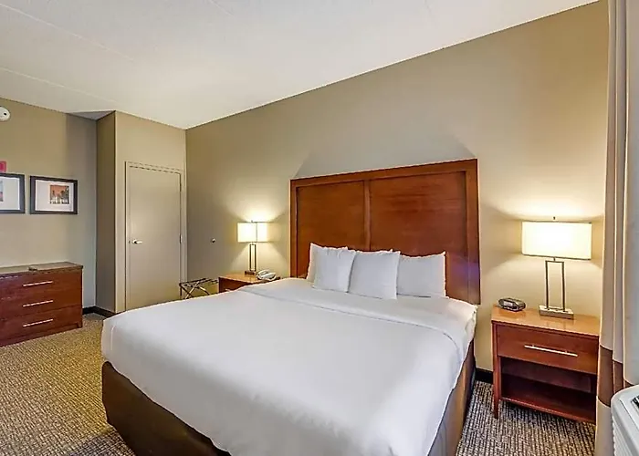 Comfort Chicago O'hare Airport Hotel 3*