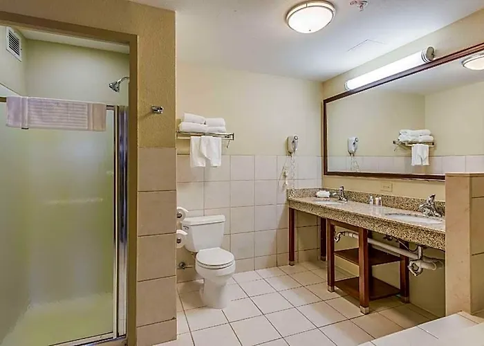 Hotel Comfort Chicago O'hare Airport 3*