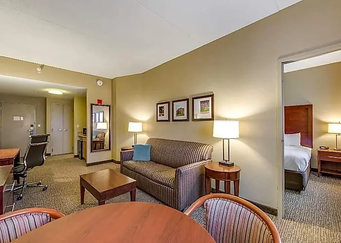 Comfort Chicago O'hare Airport 3*