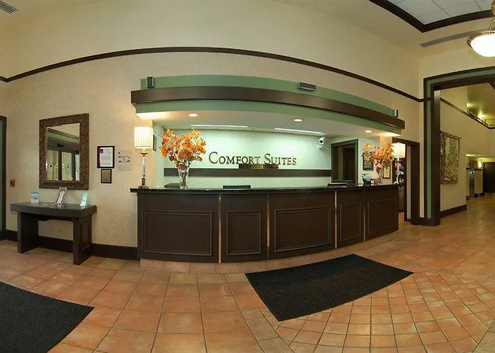 Hotel Comfort Chicago O'hare Airport Schiller Park