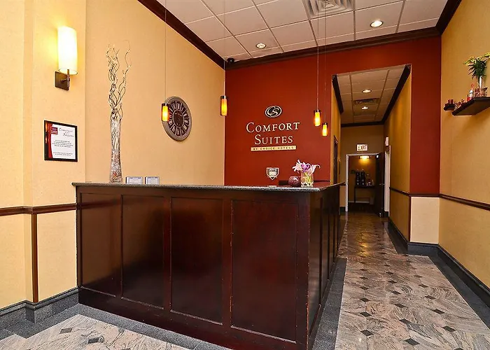Comfort Chicago O'hare Airport Hotel Schiller Park